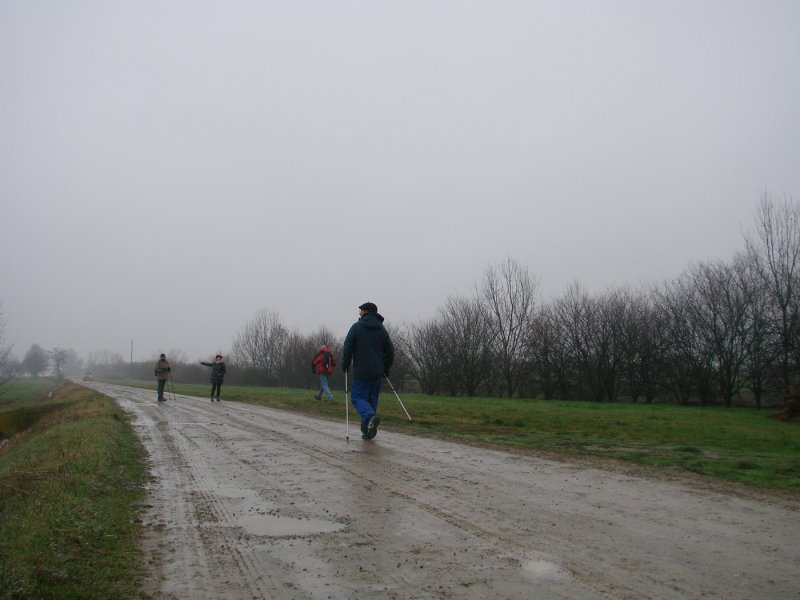 dsc05229