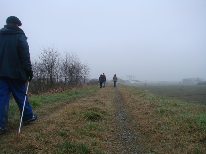 dsc05234