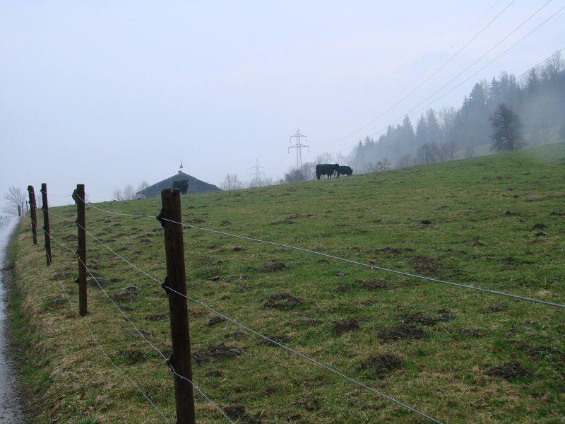 dsc07118