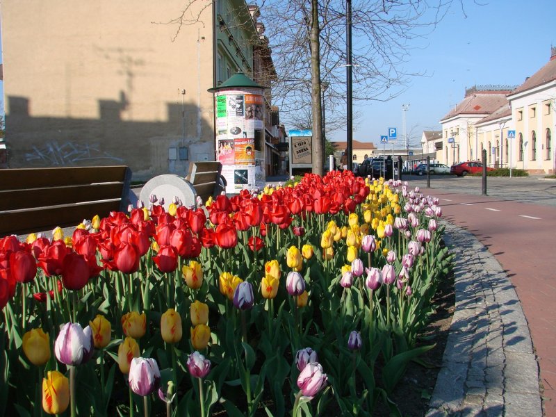 dsc08117