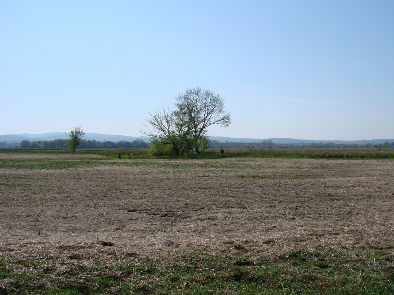 dsc08123