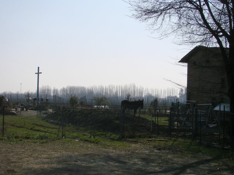 dsc05307