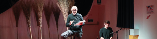 Alberi, radici e altre storie